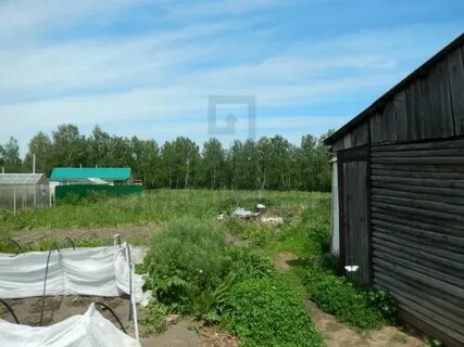 Погода в новосибирском районе сосновка