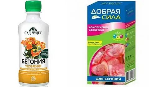 Удобрение для бегонии