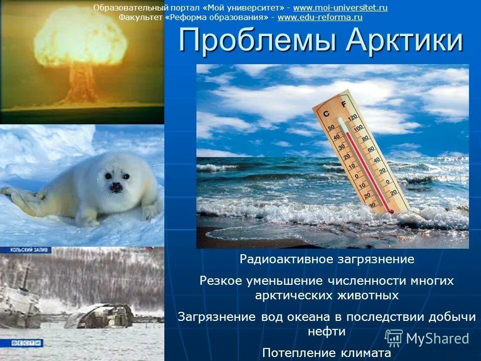 Проблемы охраны арктических пустынь. Экологические проблемы ар. Экологическая ситуация в арктике. Арктические пустыни экологические проблемы. Экологические проблемы арктики.