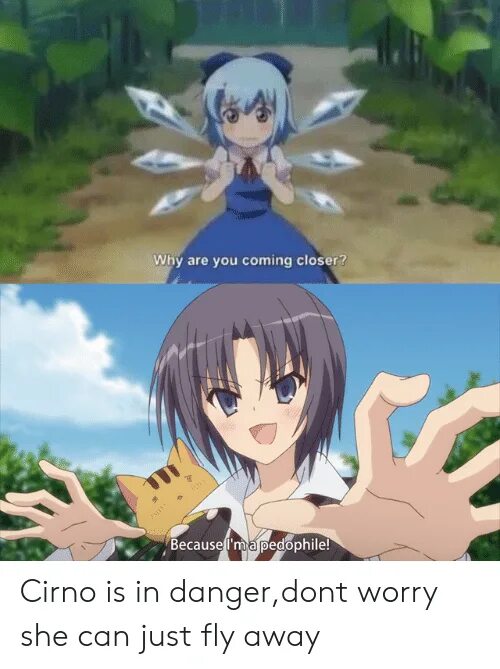 My head is empty miranda rain. Cirno нашивка мем. cirno touhou meme. no thoughts head empty cirno. no brain head empty cirno meme.
