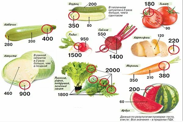 Как удалить нитраты из овощей. Нитраты и нитриты в овощах и фруктах. Показатели нитраты в овощах и фруктах. Нитраты и нитриты в пищевых продуктах. Нитраты в растительных продуктах.