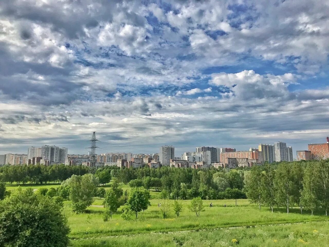 Митино мужская. Митинский парк москва. митинский ландшафтный парк. литинский ланшафтный парк. москва ландшафтный парк митино митино.