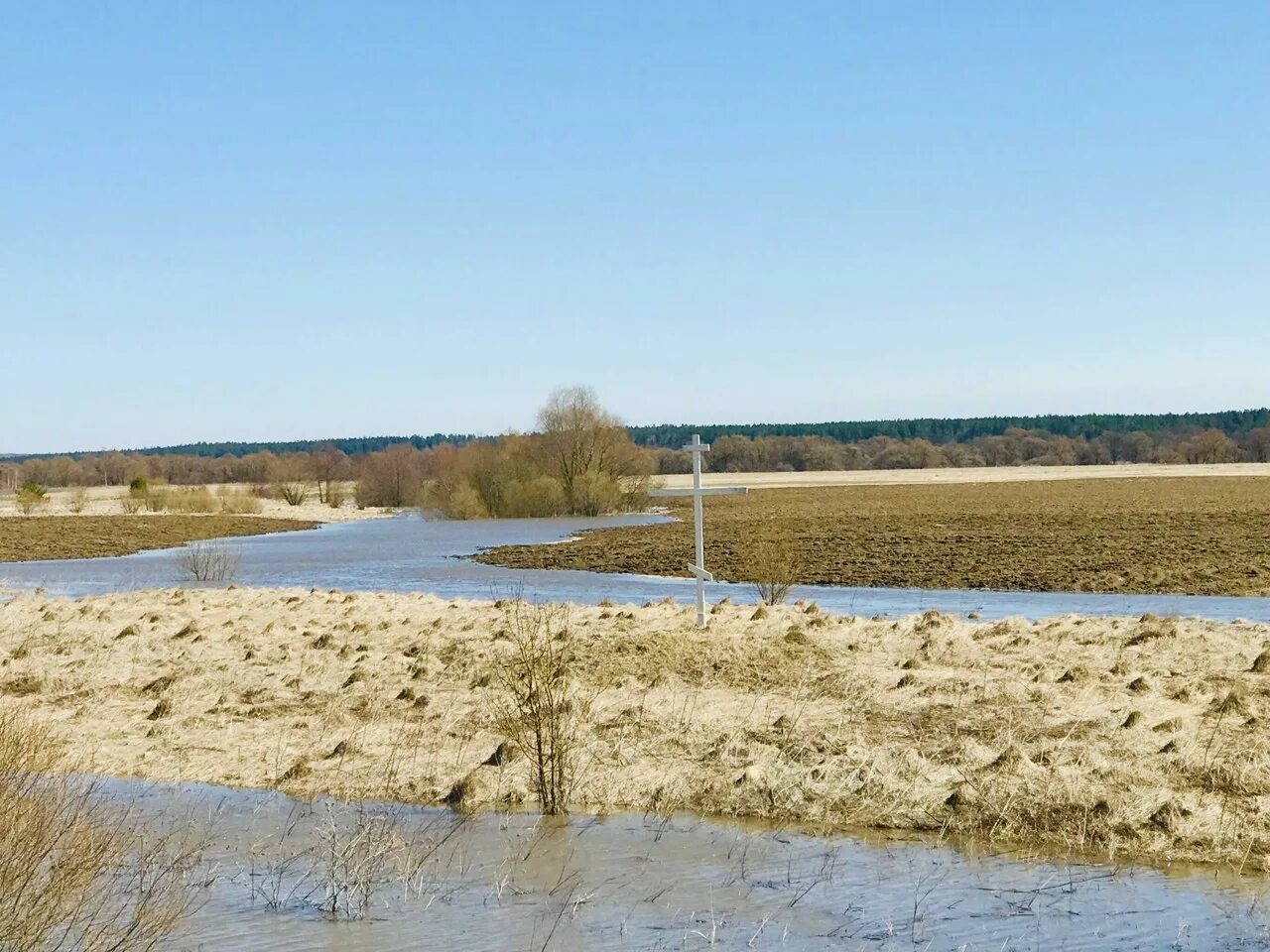 Уровень воды в жиздре козельск сегодня. Разлив реки Жиздра в Козельске. Разлив Жиздры в Козельском районе. Разлив Жиздры в Козельске в 2023. Жиздра река разлив 2023.