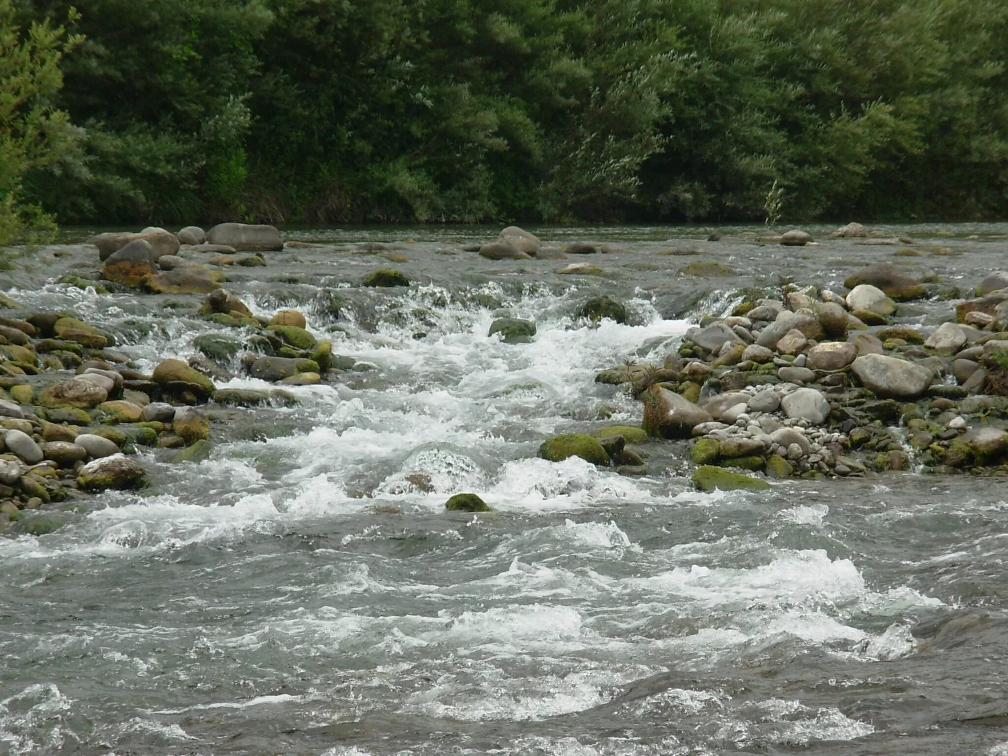 Ручьи талой воды горные реки Кавказа. Бурная вода. Бурный ручей. Река течет. Стремительный бурный поток воды