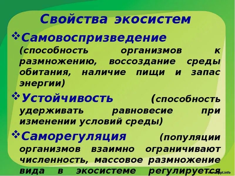 Пример саморегуляции у растений. Свойства экосистем. Саморегуляция живых организмов. Саморегуляция экосистемы. Саморегуляция популяции.