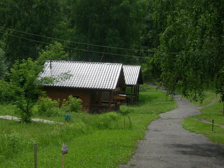 Турбаза Березка горный Алтай. Лагерь Березка озеро ая. Озеро ая база отдыха Березка. Алтай берёзка озере ая. Березка ая