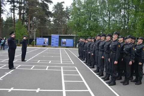 Полиция сосново
