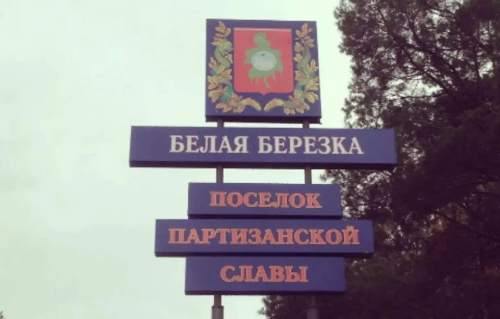 Зимняя береза под окном. Береза белая береза. Белая береза. Дом есенина в константиново зимой. Белые березы деревня.