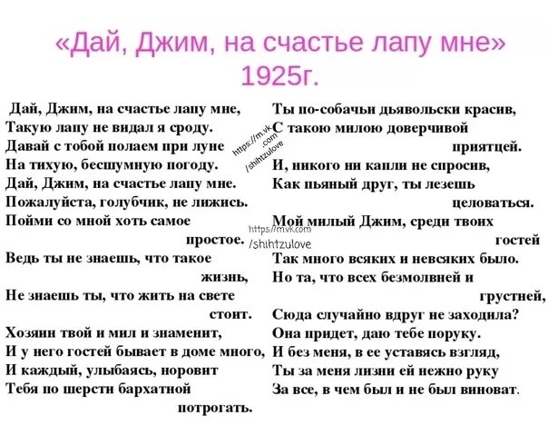 Такую лапу не видал я сроду