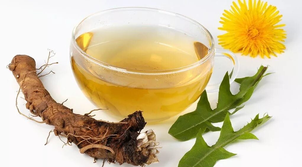 Dandelion root - корень одуванчика. Лечебная трава корешки одуванчика. Настои из лекарственных растений. Настой корня одуванчика.