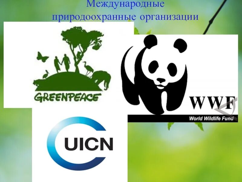 Некоммерческие экологические организации