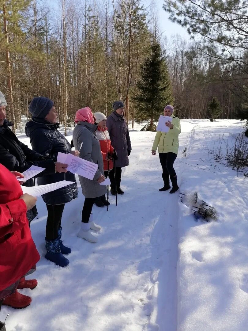 погода в новокемском на 14. новокемский вологодская область вашкинский район. поселок новокемский вашкинский район. вашкинский район ветераны. новокемская основная школа вашкинский район выпуск 2006 года.