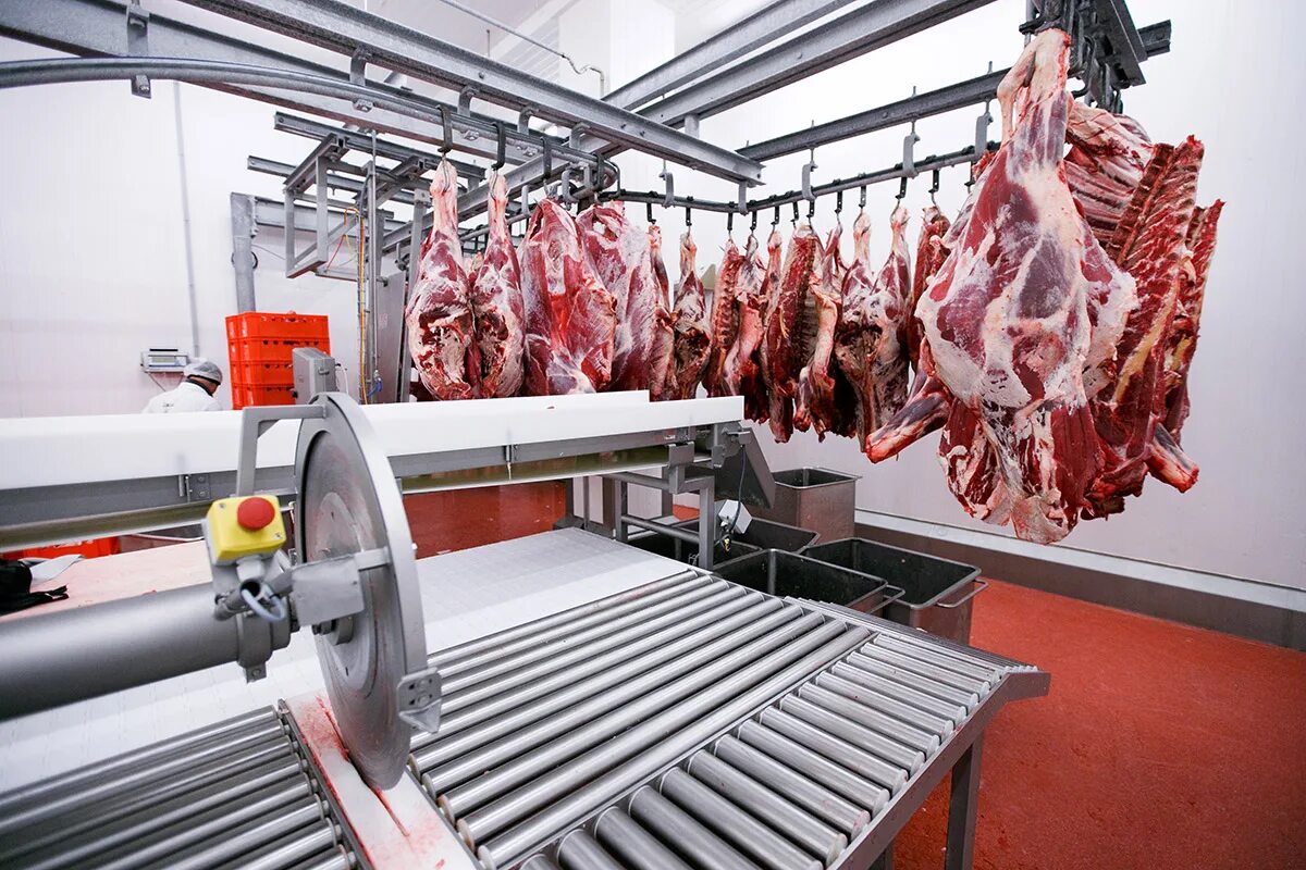 Современные технологии мясо. Мясной цех. Мясная промышленность.