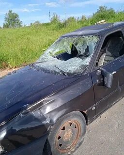 Подслушано мура