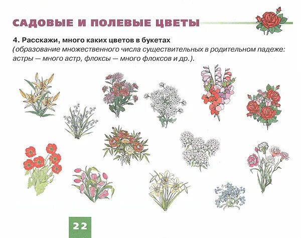 Лексическая тема цветы в старшей логопедической группе. Цветы задания для дошкольников. задания с цветочками. полевые цветы задания для дошкольников. декоративные растения для дошкольников.