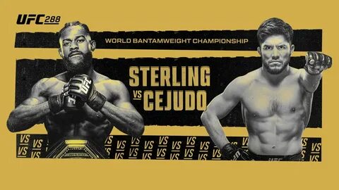 Main card