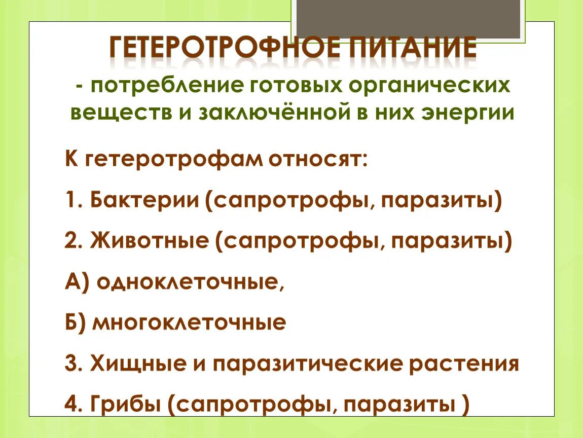 Гетеротрофный способ питания. Гетеротрофный Тип питания. Тема урока гетеротрофное питание. Что такое гетеротрофное питание биология 6 класс. Питается готовыми органическими веществами гетеротроф