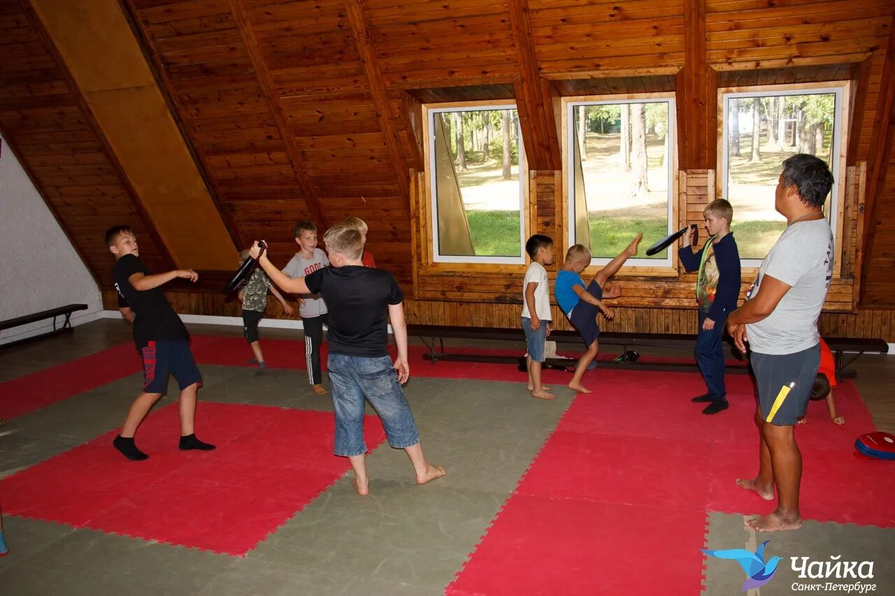 Camp спб. Лагерь Чайка Санкт-Петербург. Лагерь Чайка СПБ. Лагерь дружный Санкт Петербург. Лагеря Питера детские.