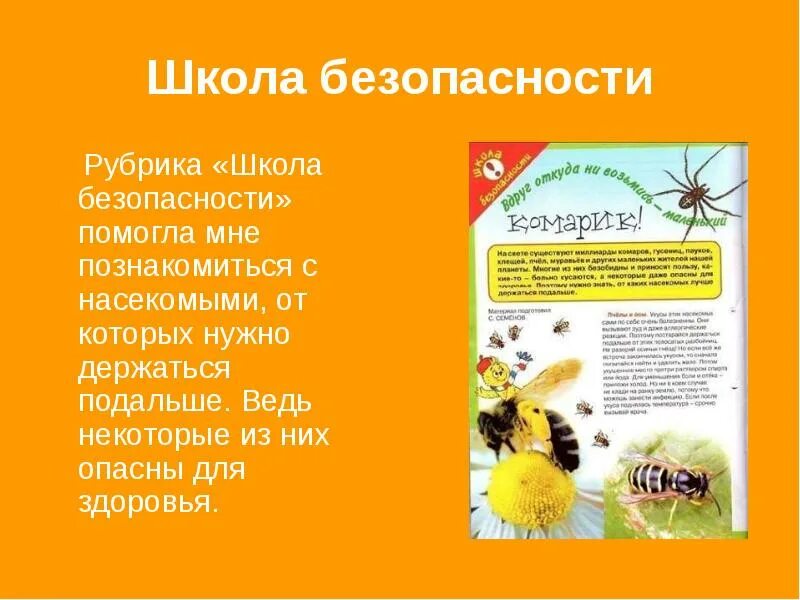 Мурзилка школа безопасности. Мурзилка рубрика школа безопасности. Журнал Мурзилка раздел школа безопасности. Рубрики журнала Мурзилка