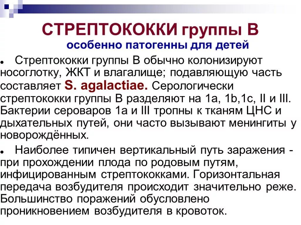 Стрептококковый шок. Стрептококк группы б. Стрептококк группы а.