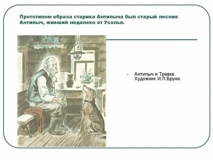 Травка собака антипыча