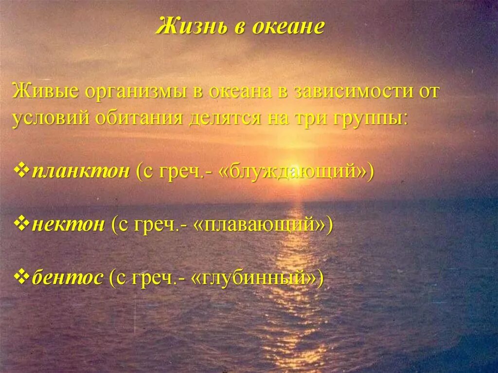 Сообщение жизнь в океане 6 класс. Жизнь в океане 7 класс география. Жизнь в океане презентация 6 класс. Сообщение жизнь в океане. Презентация по теме жизнь в океане.