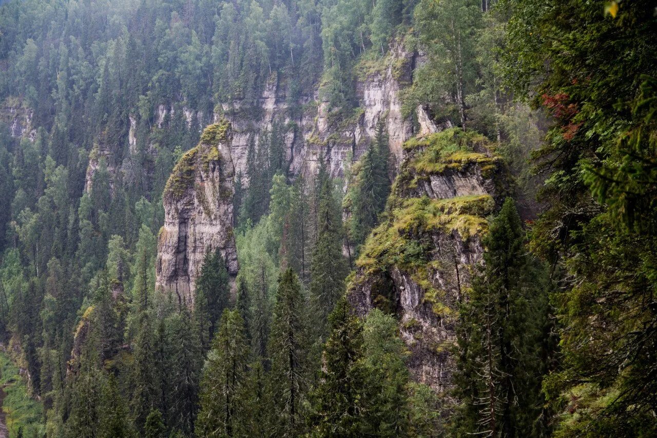 В лесах в горах содержание. Скалы и леса. Усьвинские столбы. Ельник на скалах. Нерчинские скалы.