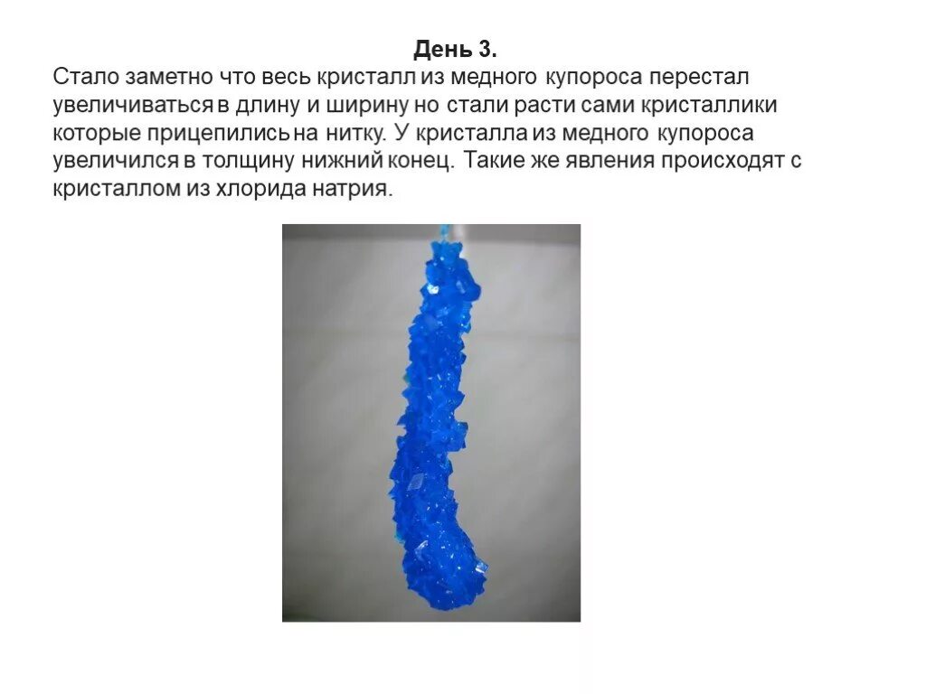 Медный купорос лабораторная работа. Кристаллы медного купороса. Кристалл из медного купороса. Кристаллы соли и медного купороса. Кристалл из медного купороса на нитке.