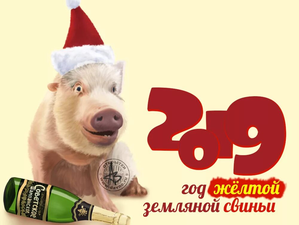 Какие года рождены в год свиньи. Новый год свиньи 2019. Год кабана какие года рождения. Какие года рождены в год свиньи. 1995 год свиньи.