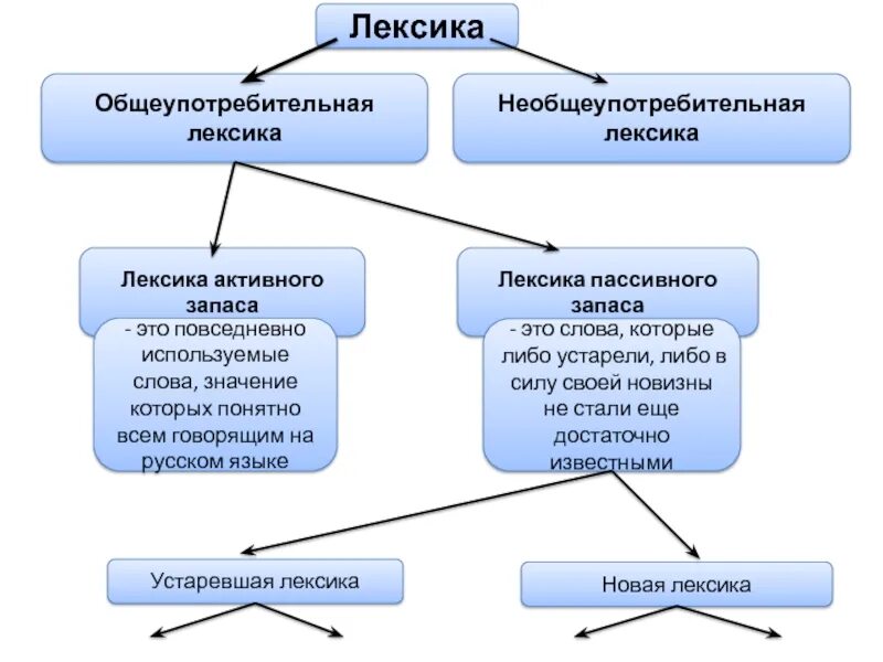 Лексика русского языка с точки зрения активного и пассивного запаса. Лексика. Активный и пассивный запас слов. Лексика общеупотребительная и пассивная. Лексика с точки зрения активного и пассивного состава. Лексика примеры употребления