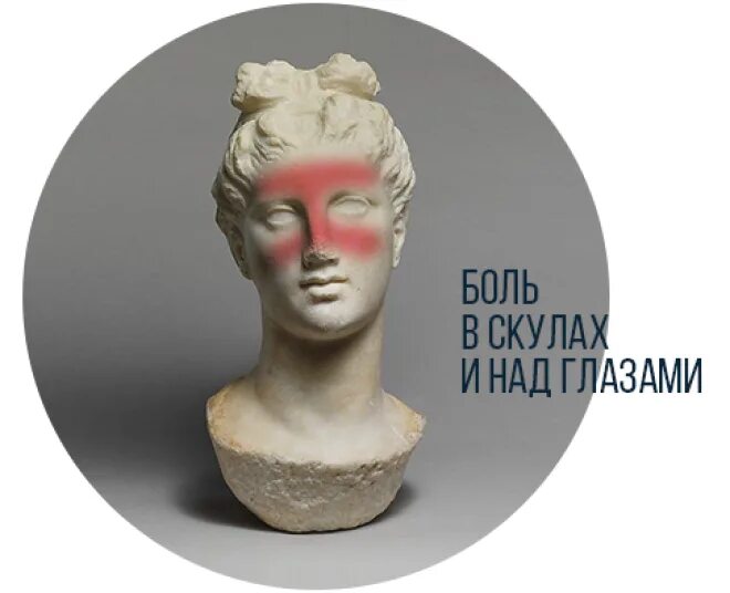 Болит скула кость. Болит скула кость