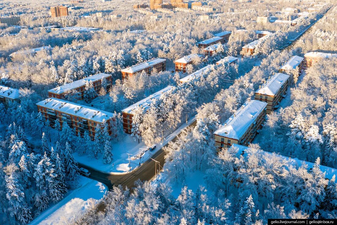 Города где зимою. Новосибирск городок Академ. Академгородок Новосибирск зима. Академгородок Новосибирск зимой. Академ гнорродо Новосиб.