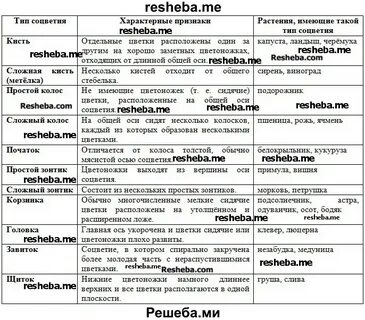 Таблица 6 виды работ