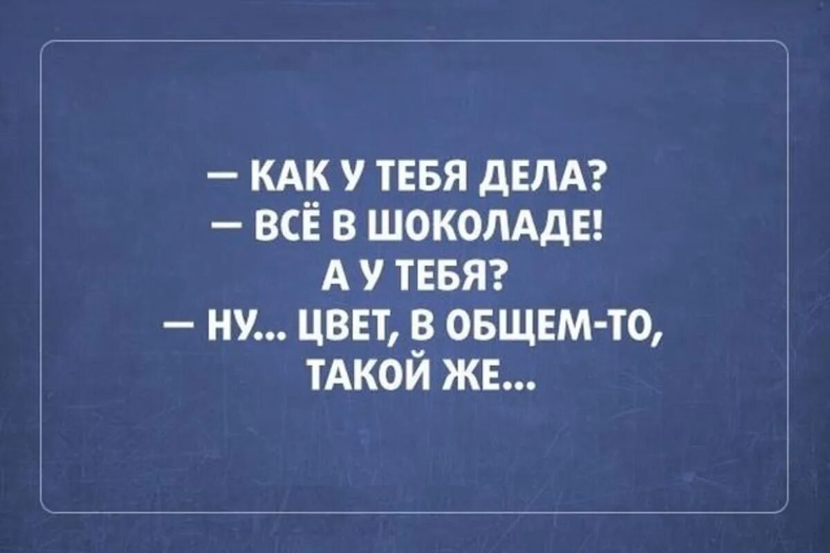 Фразы сарказма. Высказывания с юмором и сарказмом. Смешные фразы с сарказмом. Сарказм цитаты смешные. Сарказм цитаты черный юмор.