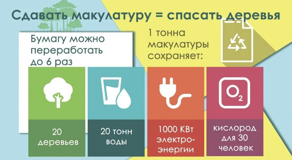 Баланс можно сдать на бумаге. Что можно сдавать в макулатуру. Почему полезно собирать макулатуру. Сколько кг макулатуры спасает одно дерево. Сдай бумагу на переработку.