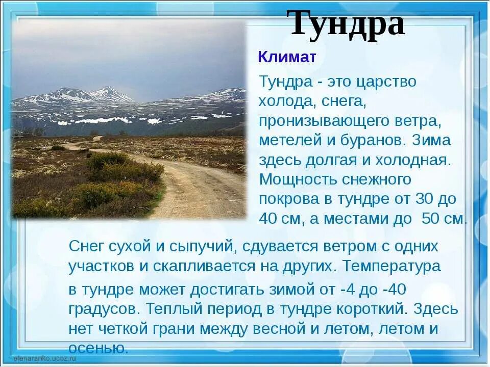 Особенности климата природной зоны тундры. Природная зона тундра климат. Тундра доклад 4 класс окружающий мир. Рассказ о тундре. Описание зоны тундры.