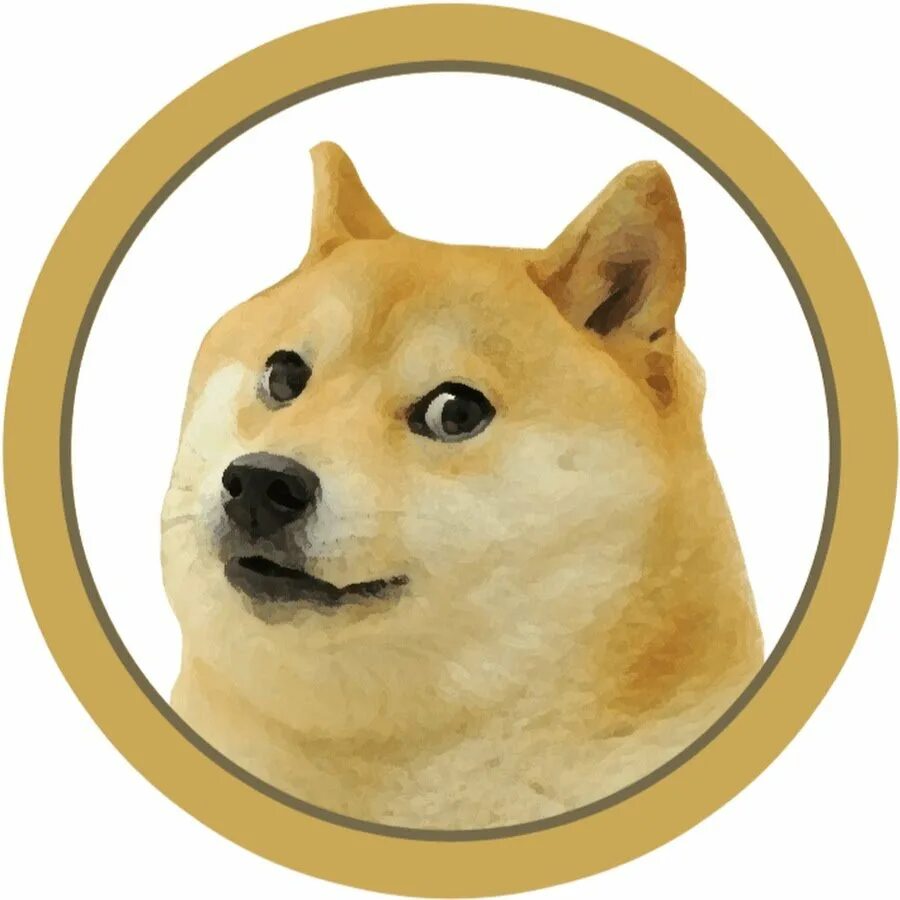 Акита ину мем. Сиба-ину doge. Шиба ину. Dogs мем. Сиба-ину кабосу доге.