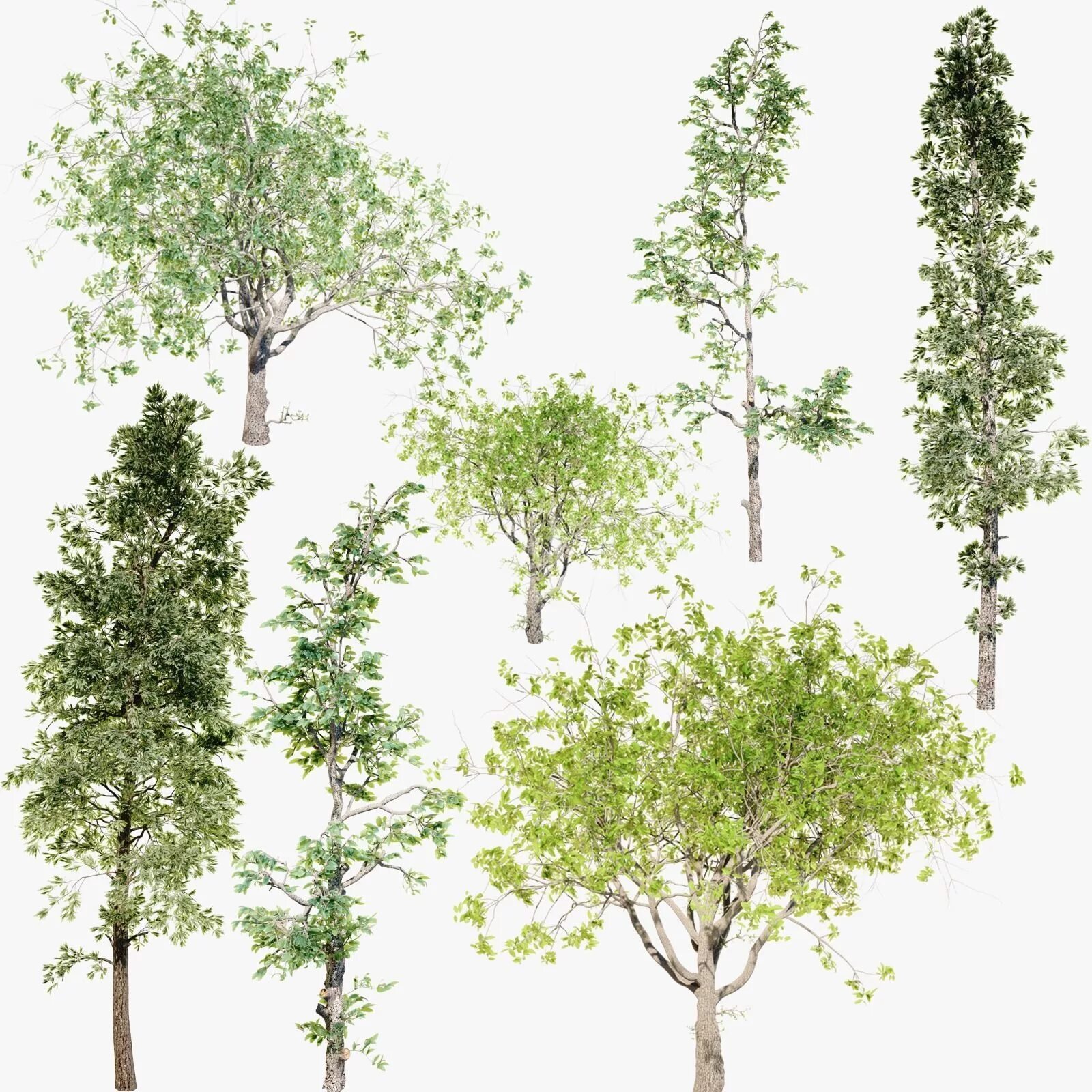 Trees pack