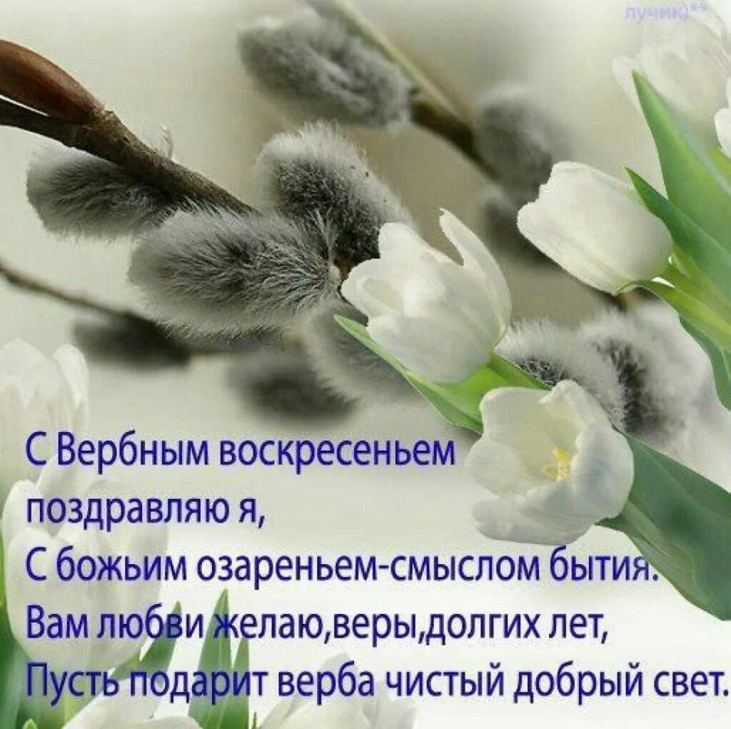 Шумное воскресение