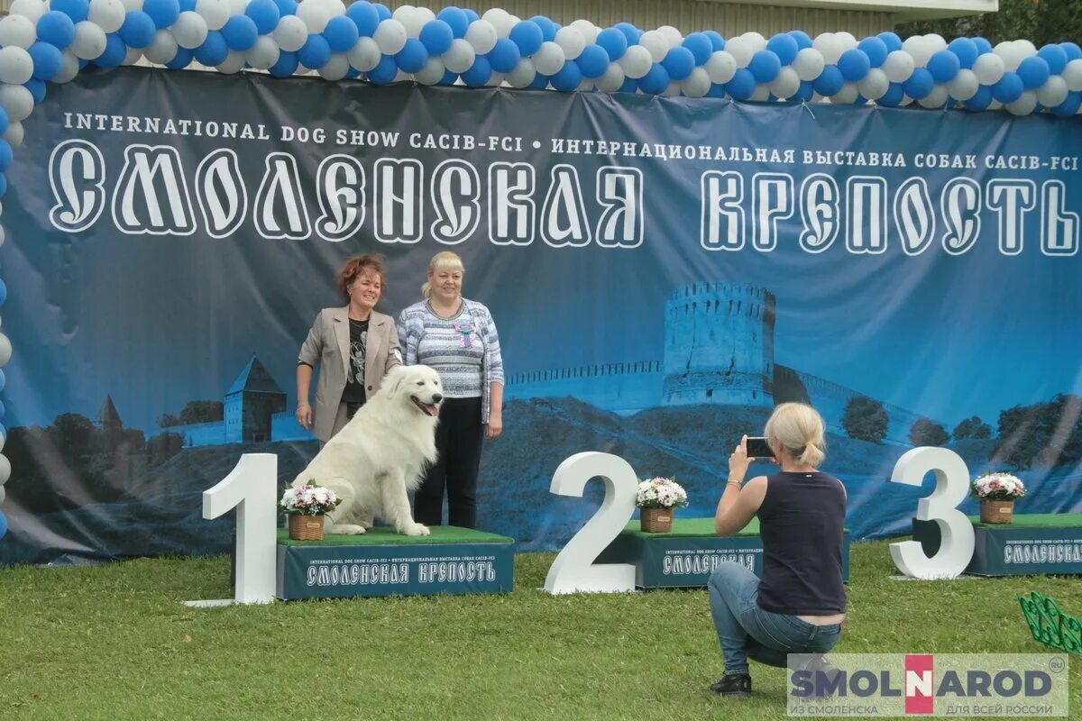 Выставка собак в Смоленске. Выставка собак Смоленск 2023. Выставки собак Смоленск фото. Выставка собак Смоленск декабрь.