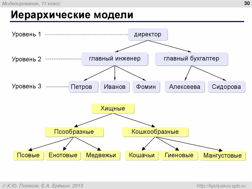 Модель и моделирование презентация 11 класс. Иерархическая схема. иерархическая модель ж. модель иерархической системы животного мира. построить иерархичную модель.
