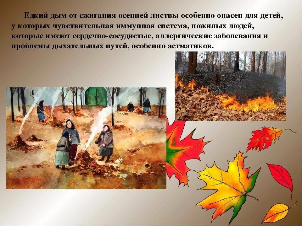 Можно ли сжигать людей