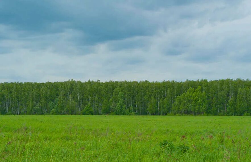 Юрово московская область куркино. Деревня юрово, новая москва. Деревня юрово куркино. Лесной городок на участке. Юрово московская область.