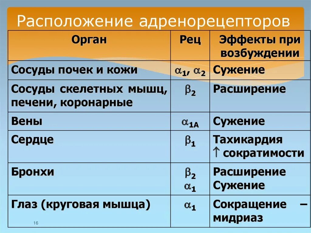 Альфа и бета адренорецепторы. Расположение адренорецепторов. Типы Альфа адренорецепторов. Расположение Альфа адренорецепторов.