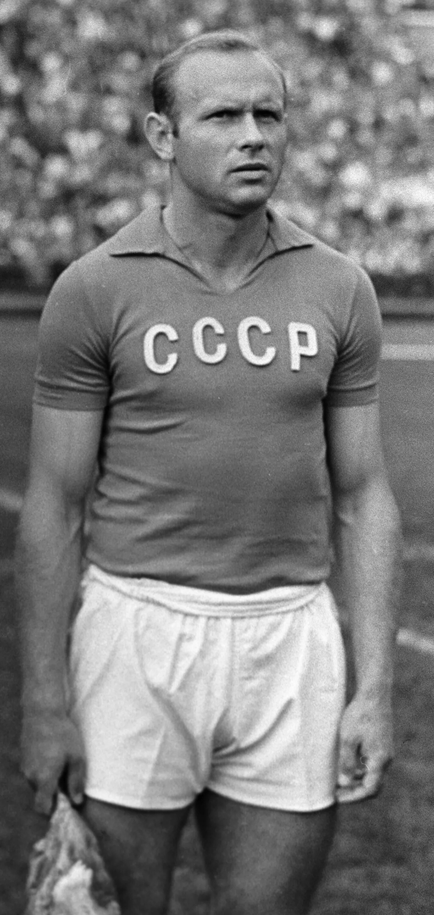 Стрельцов последнее. Стрельцов последнее