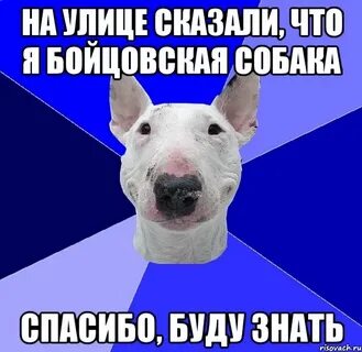 Скажи улицу