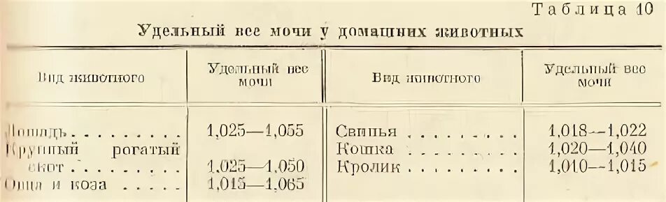 Исследование мочи у животных. Мочекаменная болезнь у кота. Способы взятия мочи у животных. Исследование мочи. Мочи животных.