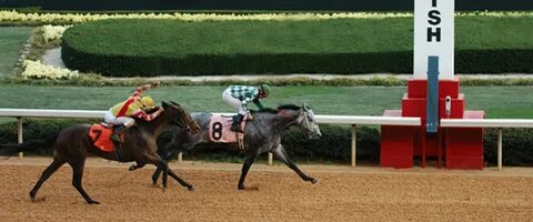 Horse race betting