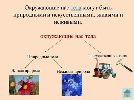 Естественные и искусственные тела 3 класс примеры