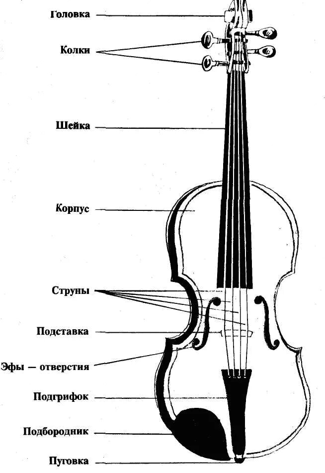 Что означает скрипка. Строение струнно смычковых. Строение контрабаса схема. Строение виолончели. Строение виолончели схема.